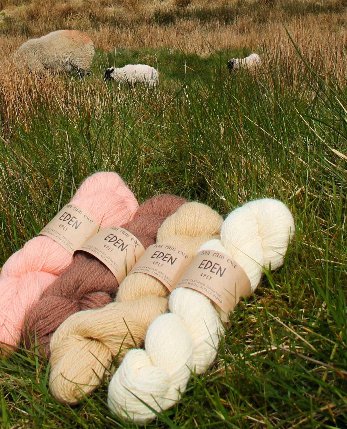 Instagram post with the caption: Introducing Eden, a beautiful BFL alpaca blend by Baa Ram Ewe 🥰...